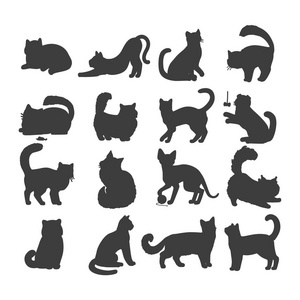 索马里黑色猫矢量平面设计插画集插画
