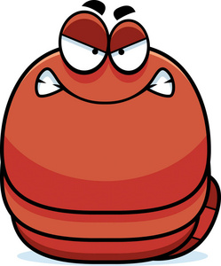 愤怒的小虫照片