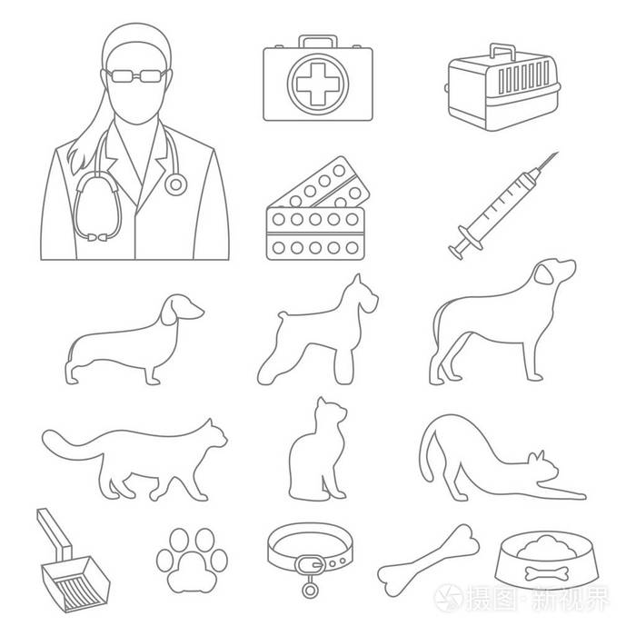 设置与狗和猫和实验室设备的兽医诊所插画-正版商用图片1rhnak-摄图新