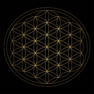 在黑色背景上的古代大纲黄金生命之花符号.花六个花瓣.