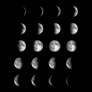 不同阶段的月亮图片