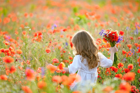 夏天花的草地上图片