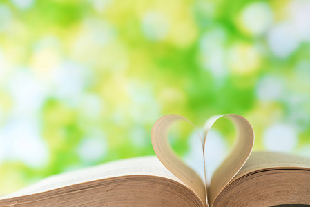 打开书与绿树景背景