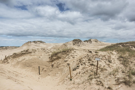 移动的沙丘照片