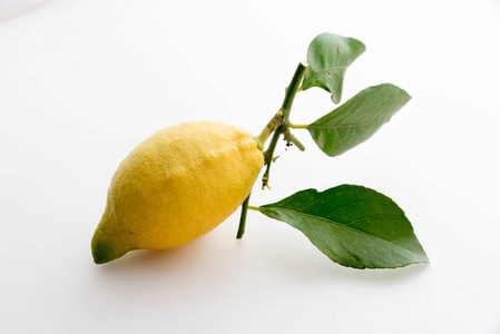 西西里柠檬图片