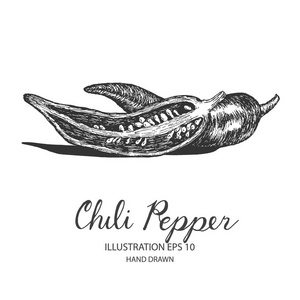 红辣椒手绘插图以墨和钢笔素描照片