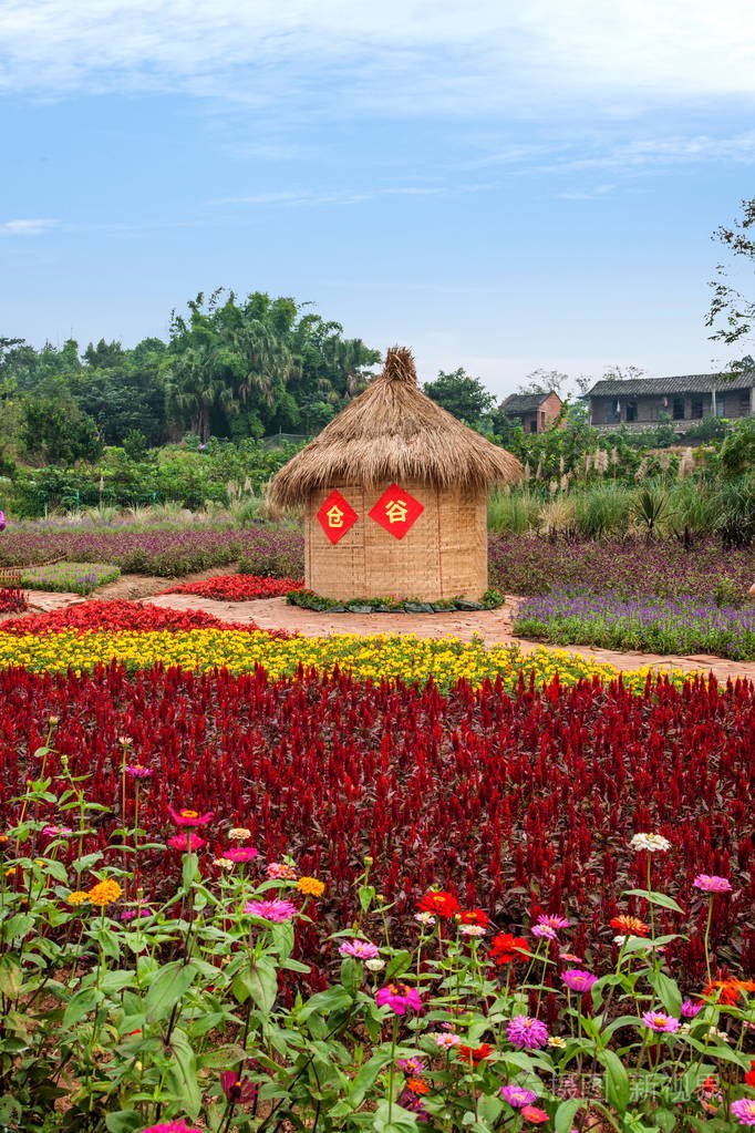 重庆bananhua花世界花园满盛开的鲜花
