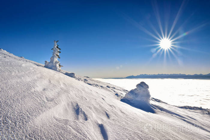 雪覆盖树上塔特拉山背景的山