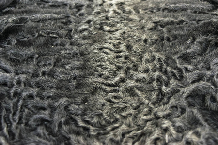毛皮是银卡拉库尔羊皮质地,背景照片