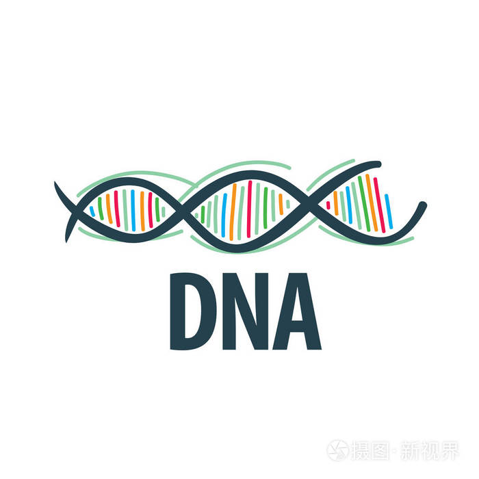 矢量标志 dna