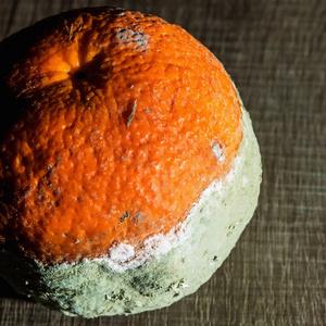 腐烂水果图片-腐烂水果素材-腐烂水果插画-摄图新视界