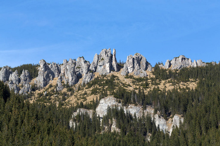 chocholowska 山谷的悬崖 (mnichy chocholowskie).tatra照片
