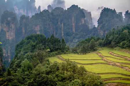 张家界山脉