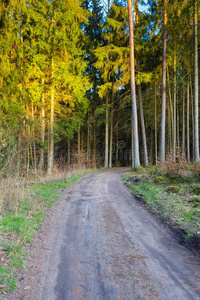 春林步道