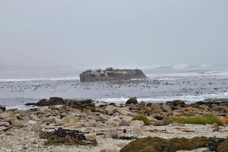 海岸 南方 朦胧 沉船 西海岸 自然 岩石 非洲