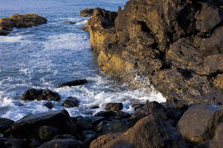 沿海 太平洋 波动 岩石 海岸 自然 海滨 新港 俄勒冈州