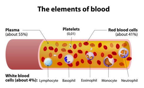 文化 诊所 公司 外套 血红蛋白 插图 布菲 红细胞 生物学