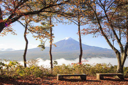 自然 富士山 日本人 富士 佛教 宝塔 圣地 公司 森根