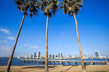 建筑 海湾 美国 场景 早晨 天空 存储区域网络 海洋 棕榈