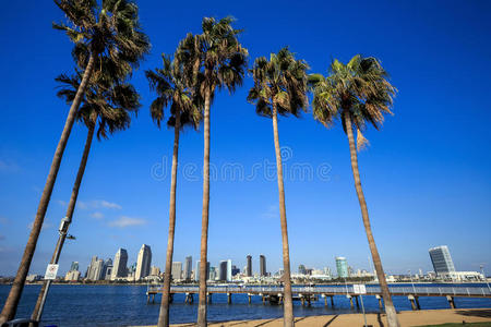 天际线 城市景观 海湾 市中心 海滩 旅游 太平洋 场景