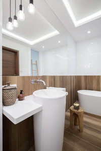 瓷器 别墅 米色 公寓 洗澡 豪宅 厕所 盆地 浴室 面板