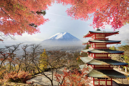 宝塔 季节 美丽的 公司 富士山 森根 落下 公吨 城市