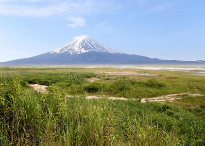 草地 日本 风景 攀登 自然 火山 富士 领域