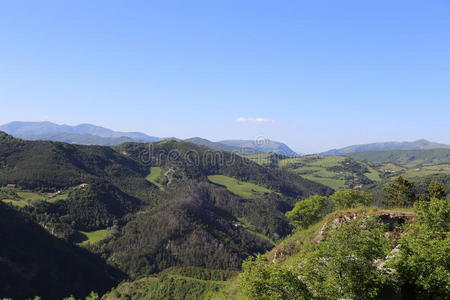 别墅 意大利 高地 森林 植被 领域 小山 地平线 摔倒