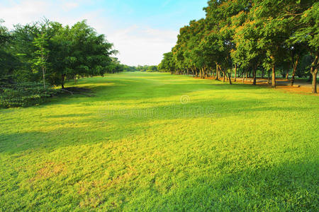 公园晨光明媚,绿草如茵照片