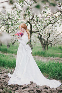 美丽的新娘穿着一件老式的婚纱，摆在盛开的苹果花园里