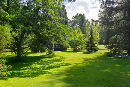 天空地美丽的空地照片