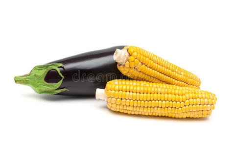 茄子和玉米在白色背景上的玉米特写镜头