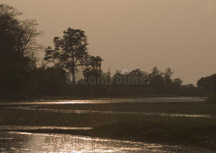 惊人的日落在丛林，巴迪亚，尼泊尔
