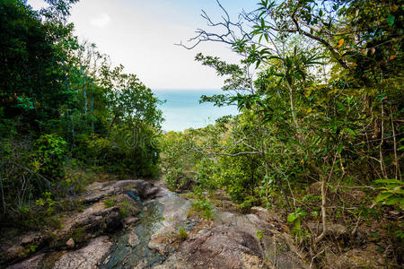 芬根 南方 夏天 情景 风景 小山 太阳 旅行 丛林 公司