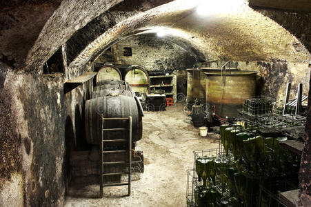 古老的 酒厂 酒精 饮料 地窖 木桶 老化 葡萄酒 发酵