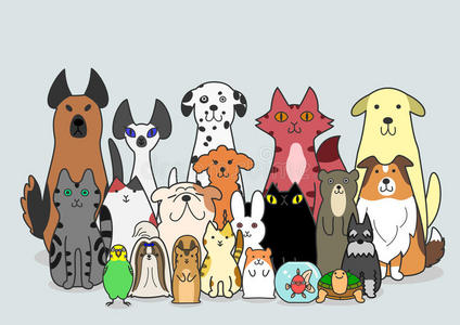 前脚狗,猫和小动物小组照片