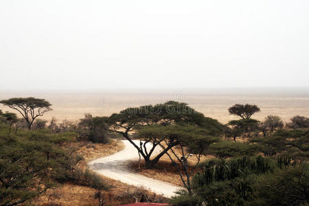 玛拉 危险 阿拉伯树胶 联合国教科文组织 非洲 马赛 肯尼亚