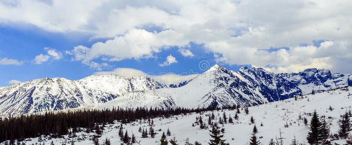 人行道 范围 高地 秋天 阿尔卑斯山 风景 欧洲 波兰 高的