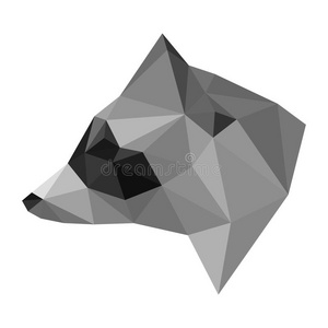 抽象多边形几何三角形浣熊头隔离在白色背景上，用于设计