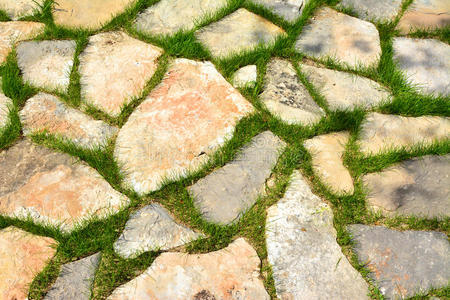 花园 乡村 特写镜头 人行道 路线 植物 岩石 春天 纹理