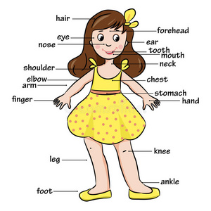 卡通孩子. 身体部位的词汇照片