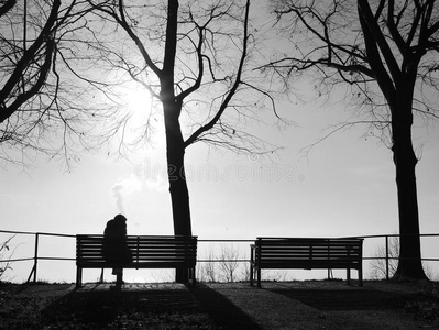 独自在公园长凳上的雾中抑郁