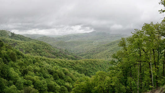 攀登 高加索 冒险 冰川 草地 环境 徒步旅行 森林 风景