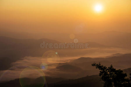 自然 作物 颜色 太阳 场景 旅行 天空 草地 农场 美女