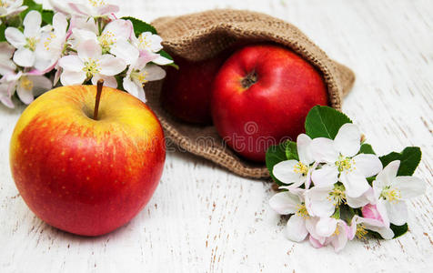 苹果和苹果树开花