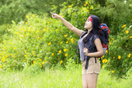 小山 假日 草地 背包 徒步旅行 森林 西班牙裔 冒险 徒步旅行者