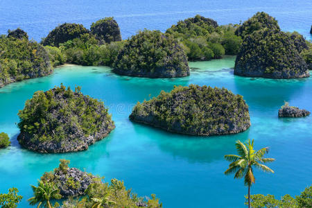 暗礁 浪漫的 海岸 海湾 悬崖 高的 泻湖 落下 巴布亚