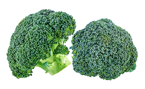 青花菜素材图片 青花菜图片素材下载 摄图新视界