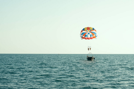 飞过沧海图片