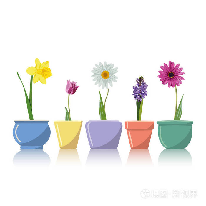 插画 网站-矢量图标花的插图集.在花盆里的 webit.top 元素 10 花.eps